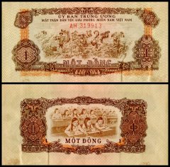 Exotic Banknotes